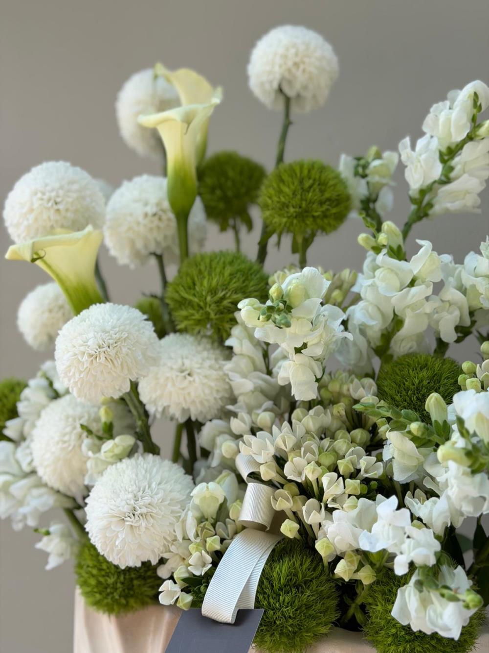 Green White Garden 